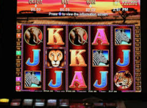 kiayun移动版下载2024最新版